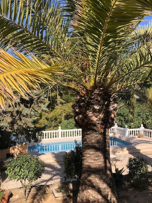 Casa Con Piscina Apartment Calpe Bagian luar foto